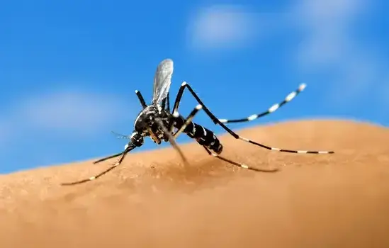 Mosquito exterminator treating a Manteca, CA home
