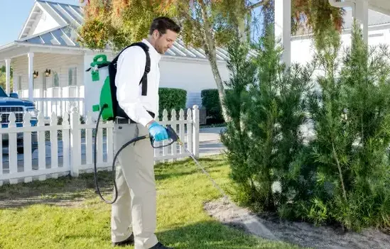 Residential Pest Control in Manteca, CA